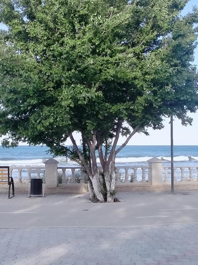 Seaside Apartment Aktav Dış mekan fotoğraf
